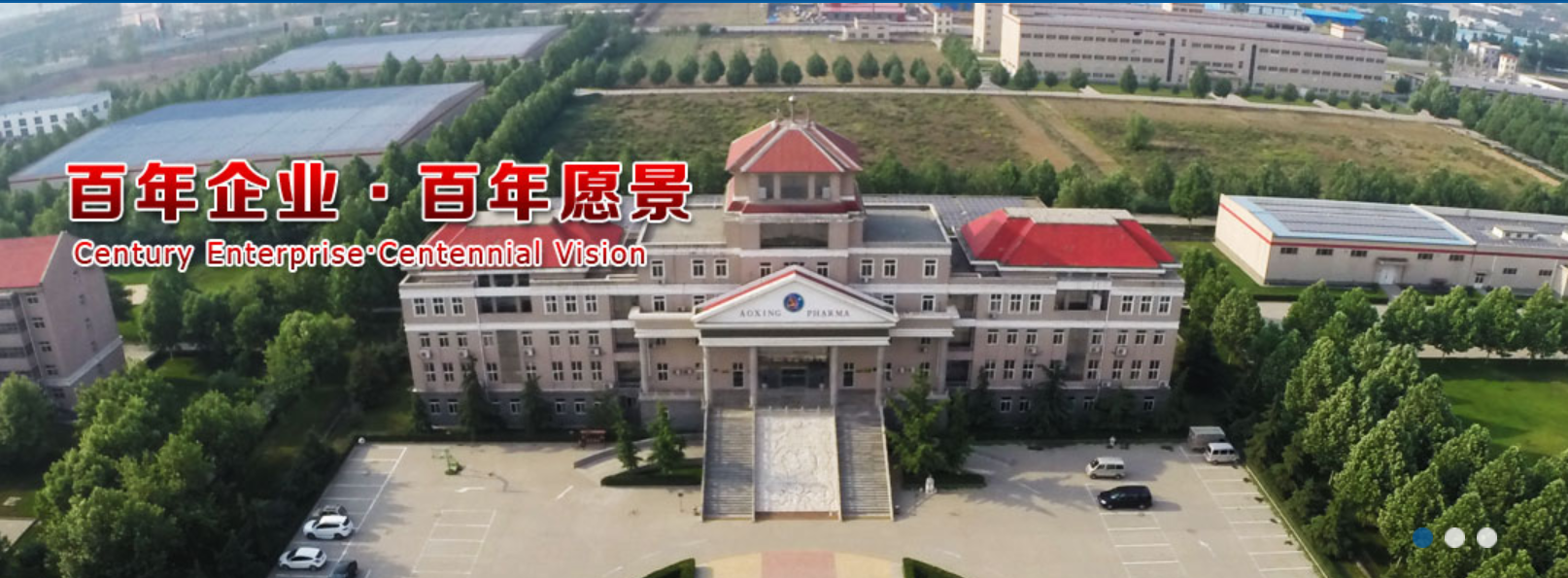 醫療行業(yè)：河北奧星集團藥業(yè)有(yǒu)限公司